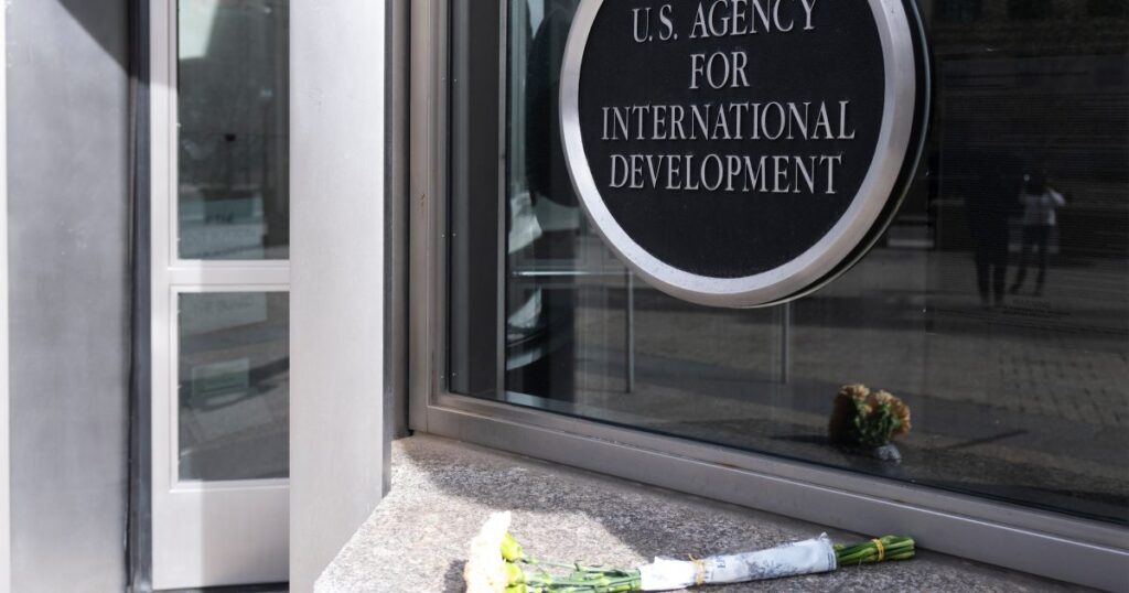 Der USAID -Takedown erklärte,