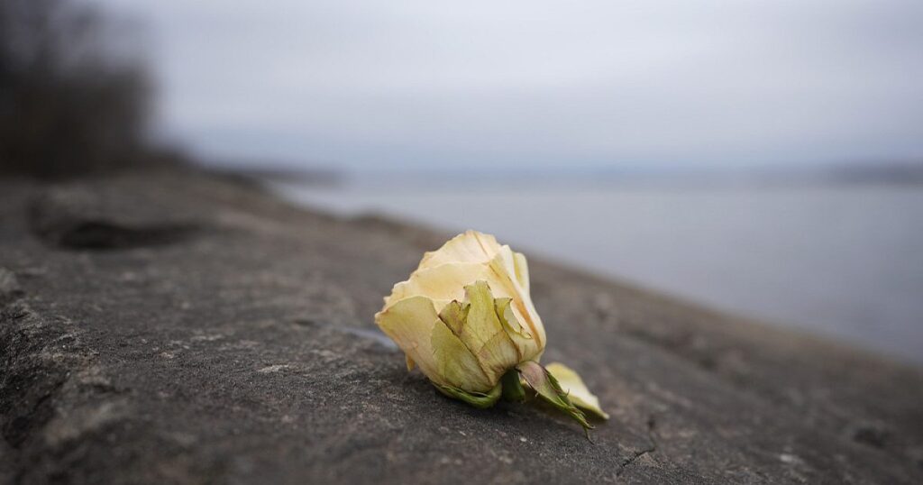 Die meisten Opferkörper erholten sich, identifiziert bei Potomac Collision