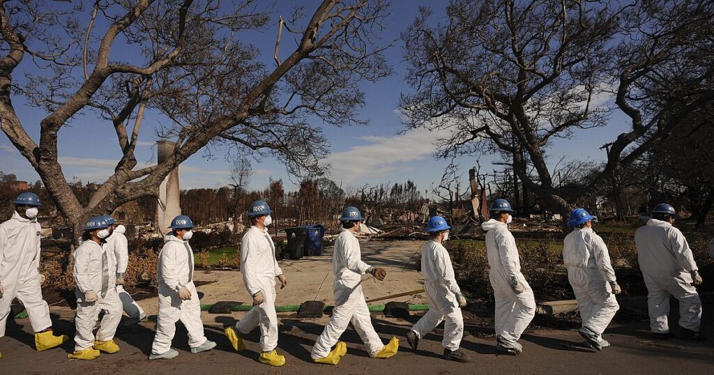 Kalifornien bittet Feds um 40 Mrd. USD in Waldbrand -Erholungsfinanzierung