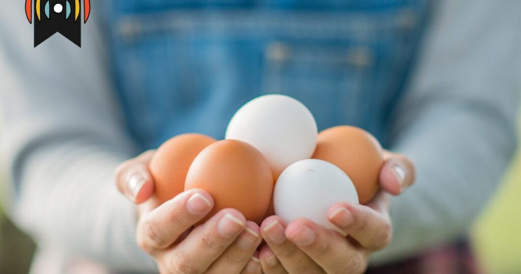 Besseres Frühstück essen