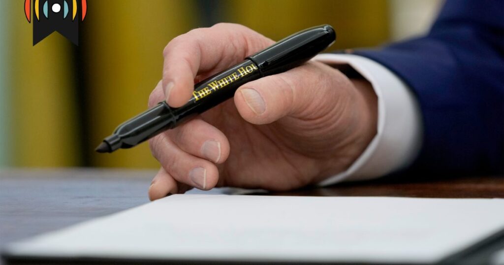 Exekutivverordnungen und gerichtliche Verfügungen