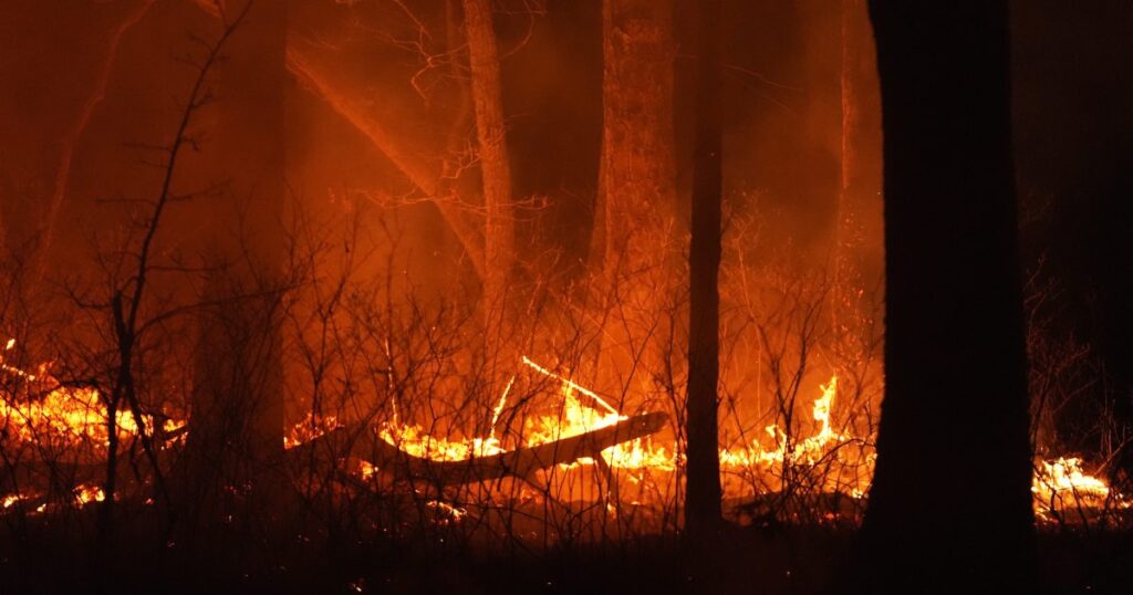 New Jersey Mann wegen Brandstiftung, der angeblich ein großes Lauffeuer begonnen hat