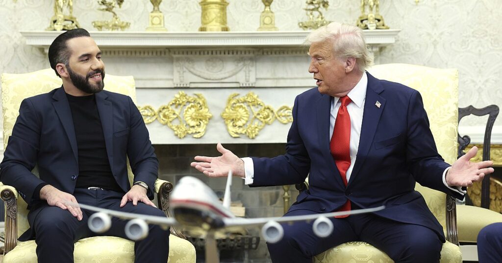 Salvadoraner Präsident sagt, er werde Maryland Mann nicht versehentlich zurückgeben