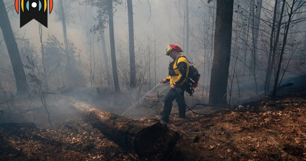 Von der Verwüstung bis zur Entschlossenheit