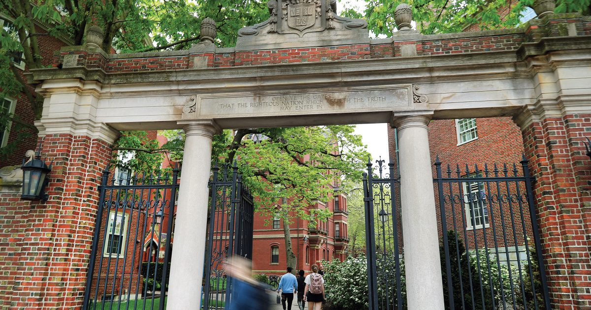 Die Ivies beschneiden