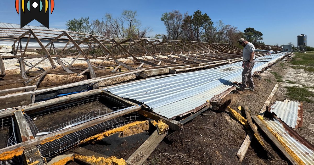 Wenn eine Katastrophe schlägt