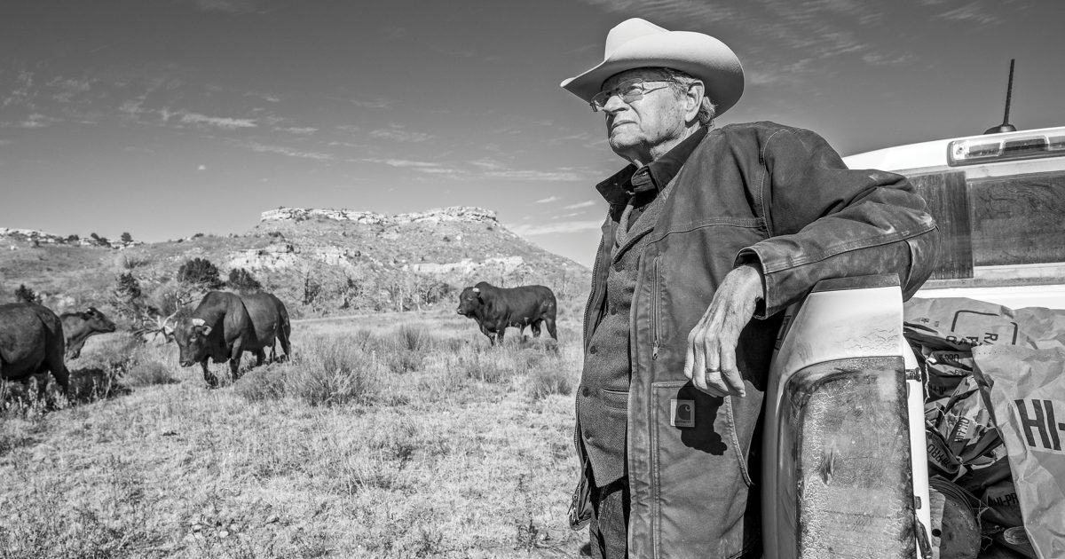 Schreiben über den Bereich