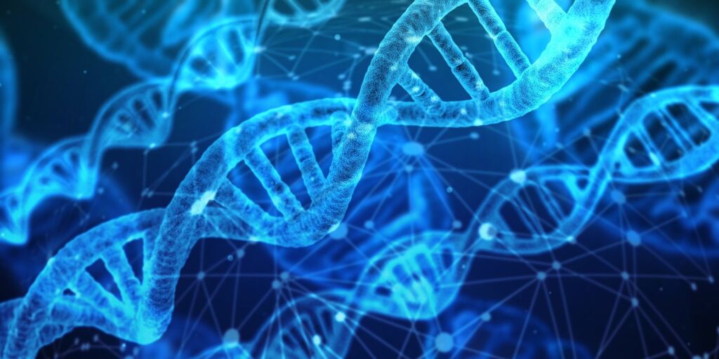 Der Mensch entwickelt sich immer noch weiter. Laut einer Studie hat die natürliche Selektion Gene begünstigt, die mit rotem Haar und weniger männlichem Haarausfall in Verbindung stehen