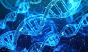 Der Mensch entwickelt sich immer noch weiter. Laut einer Studie hat die natürliche Selektion Gene begünstigt, die mit rotem Haar und weniger männlichem Haarausfall in Verbindung stehen