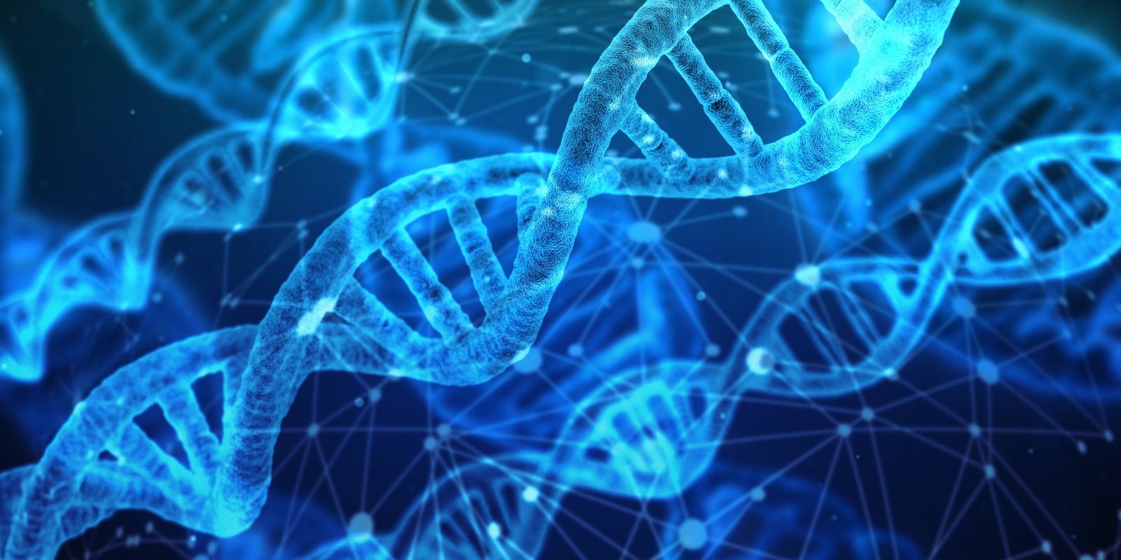Der Mensch entwickelt sich immer noch weiter. Laut einer Studie hat die natürliche Selektion Gene begünstigt, die mit rotem Haar und weniger männlichem Haarausfall in Verbindung stehen