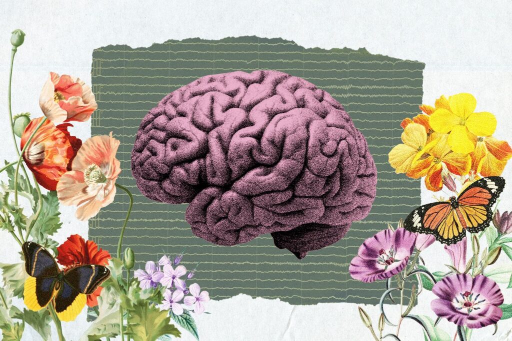 Zeigt sich die Erfahrung von Schönheit im Gehirn? Mit Elektroden und einer Museumssammlung von Artefakten wollen diese Neurowissenschaftler es herausfinden