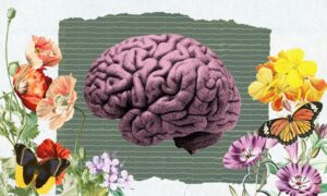 Zeigt sich die Erfahrung von Schönheit im Gehirn? Mit Elektroden und einer Museumssammlung von Artefakten wollen diese Neurowissenschaftler es herausfinden
