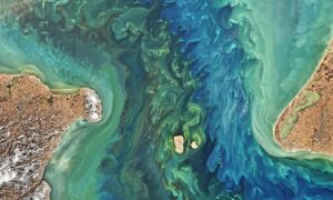 Könnte der Bau eines Staudamms über der Beringstraße den Planeten vor einigen Auswirkungen des Klimawandels bewahren?
