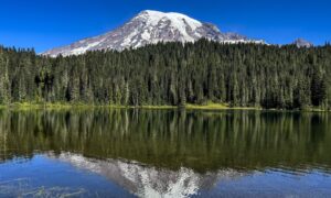 Vor Jahrhunderten stürzte ein gewaltiger Fels- und Schlammstrom den Mount Rainier hinab. Wissenschaftler haben das Datum bestimmt, um die komplexen Bedrohungen des Vulkans besser zu verstehen
