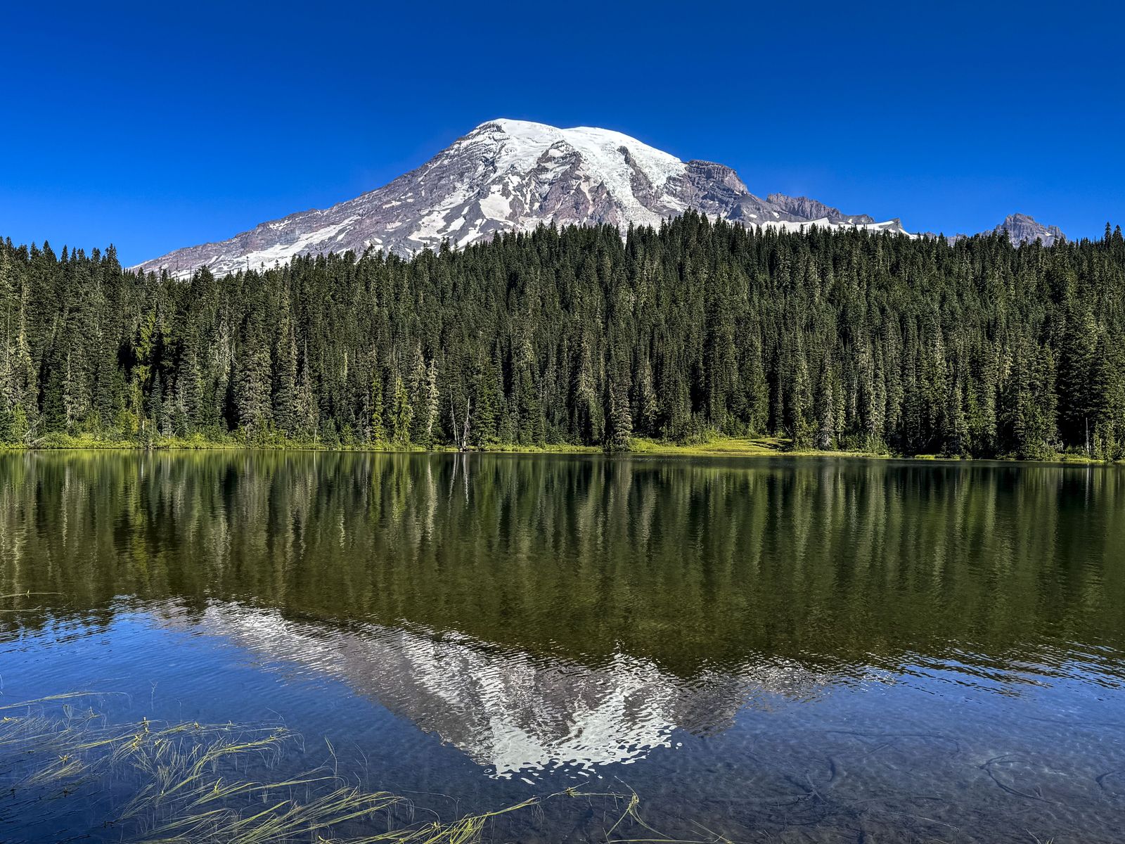 Vor Jahrhunderten stürzte ein gewaltiger Fels- und Schlammstrom den Mount Rainier hinab. Wissenschaftler haben das Datum bestimmt, um die komplexen Bedrohungen des Vulkans besser zu verstehen