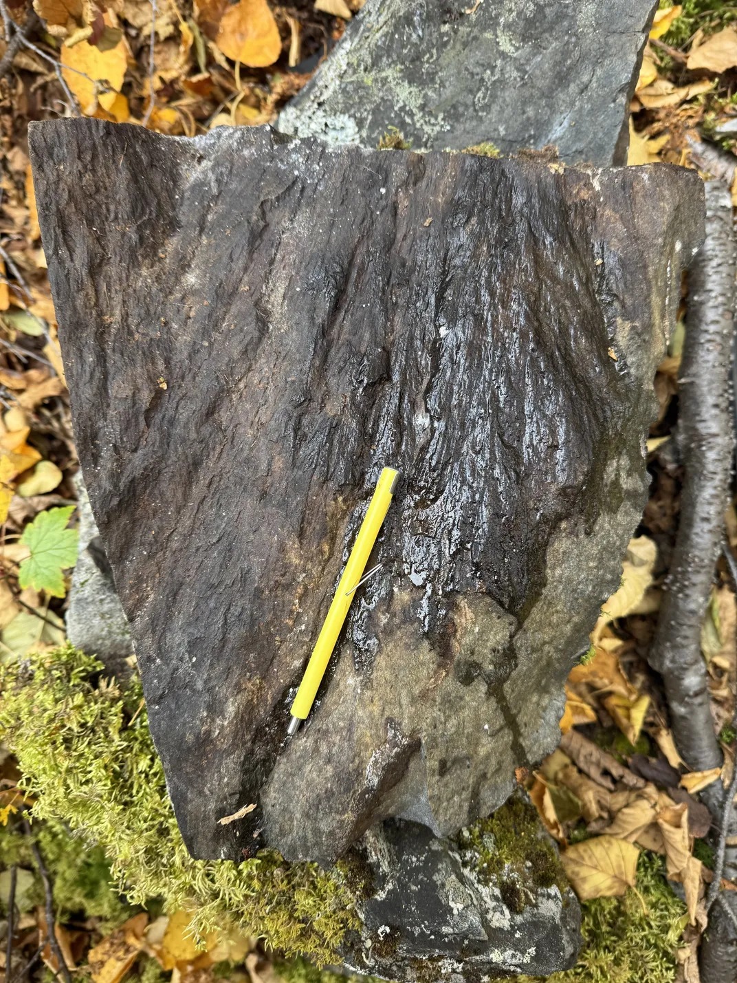 ein Stein mit einem gelben Werkzeug