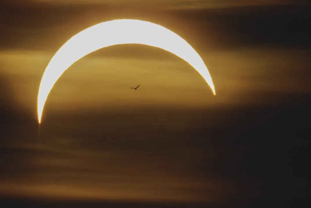 Die Sonne erscheint als Bogen, unter dem ein Vogel fliegt