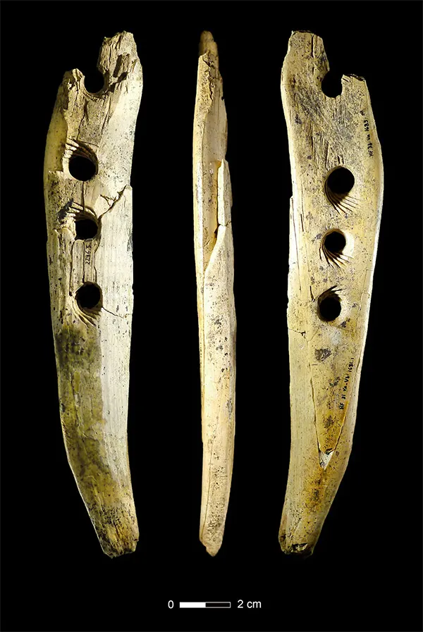 Ein schmales Instrument aus Holz mit drei Löchern und einem Loch, das aufgrund von Zeitschäden unvollständig ist, in drei Ansichten zu sehen