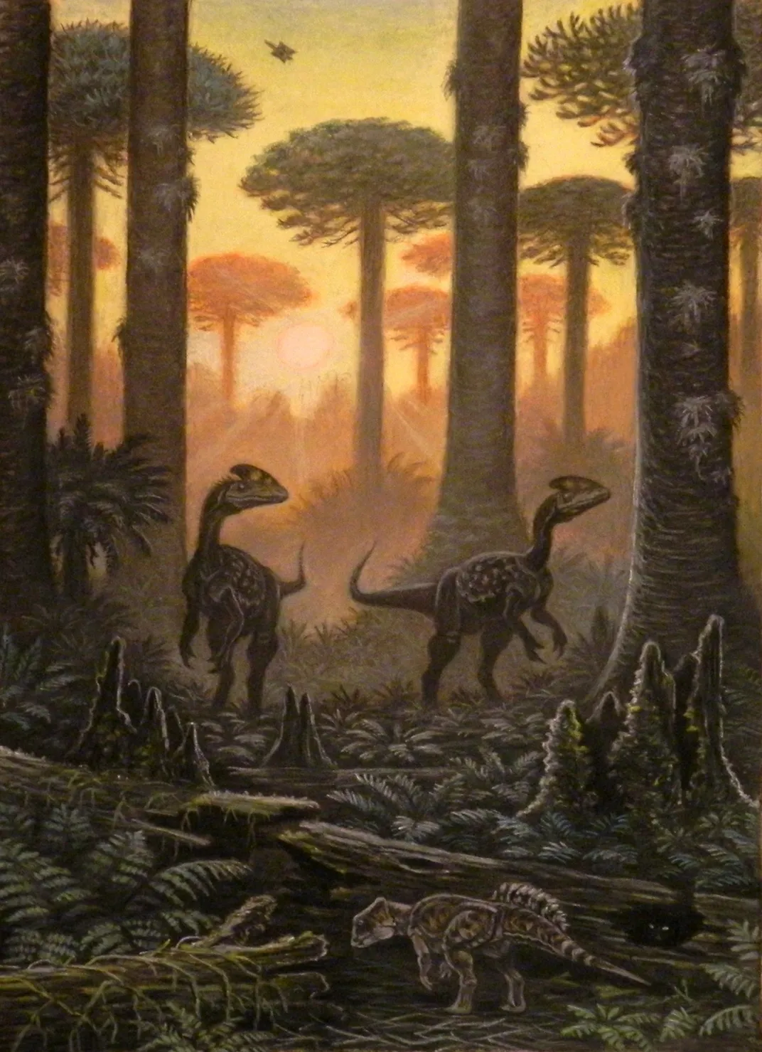 eine Illustration von drei Dinosauriern; eines klein im Vordergrund und die anderen mittelgroß im Hintergrund; in einem lichten Wald
