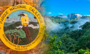 Historische Spende von 76.000 Hektar der Familie Blaquier, die dazu beitrug, einen Nationalpark zum Schutz des einzigartigen Regenwaldes Argentiniens zu schaffen