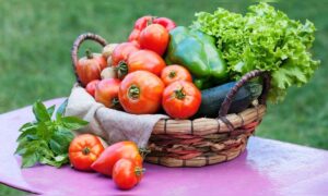Ernährungsexperten empfehlen dieses Frühstück nach dem 50. Lebensjahr für stabilen Blutzucker und einen energiegeladenen Start in den Tag