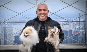 César Millán: Emotionale Bindung zwischen Haustieren und Besitzern – Was du fühlst, wird zu deiner Energie, und das ist das Einzige, was dein Hund von dir weiß