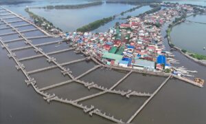 Auf einer philippinischen Insel kämpfen sie gegen den steigenden Meeresspiegel und Überschwemmungen – mithilfe der Natur statt Beton